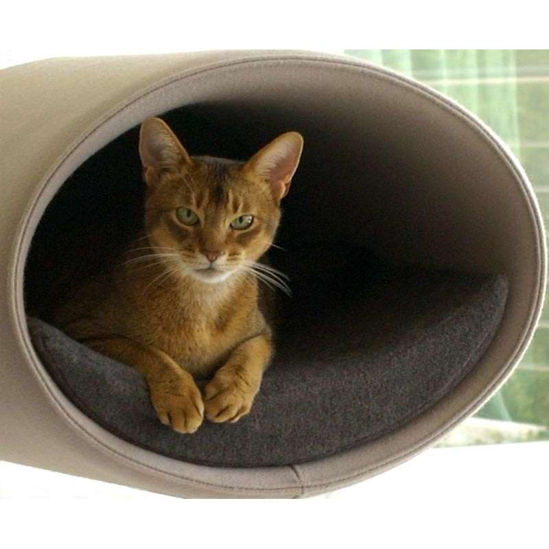 Pet Interiors Rondo Felt Cat Wall Climber