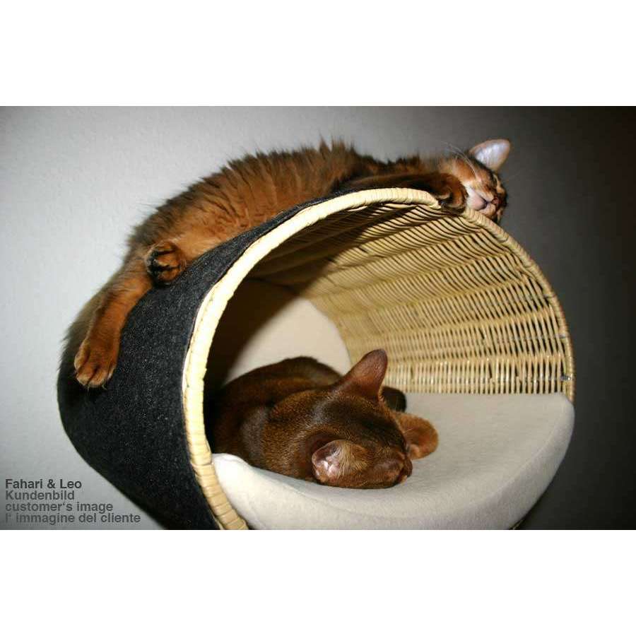 Pet Interiors Rondo Wicker Cat Wall Climber
