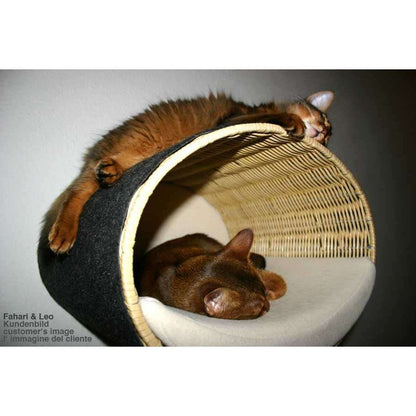 Pet Interiors Rondo Wicker Cat Wall Climber