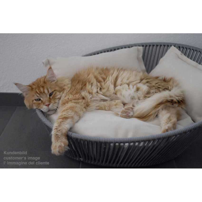 Pet Interiors Unique Cat Basket SIRO Twist