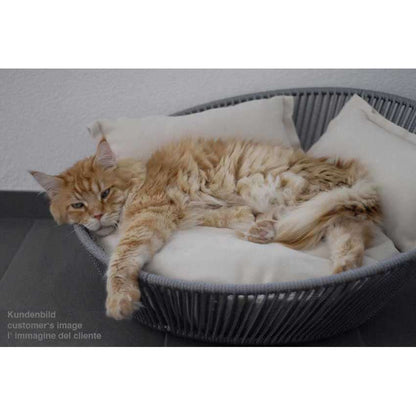 Pet Interiors Unique Cat Basket SIRO Twist