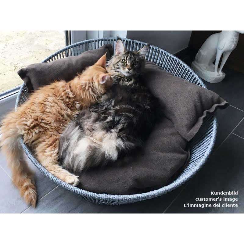 Pet Interiors Unique Cat Basket SIRO Twist