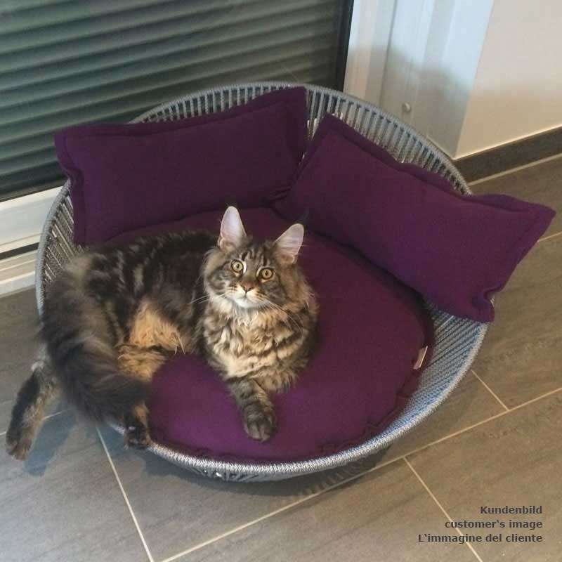 Pet Interiors Unique Cat Basket SIRO Twist