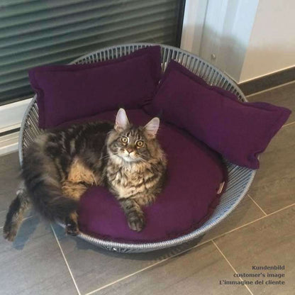 Pet Interiors Unique Cat Basket SIRO Twist