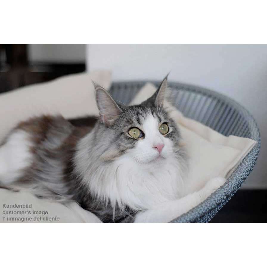 Pet Interiors Unique Cat Basket SIRO Twist