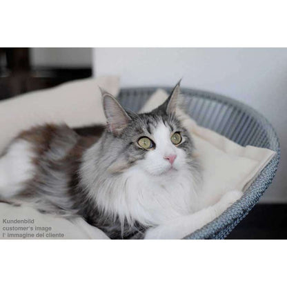 Pet Interiors Unique Cat Basket SIRO Twist