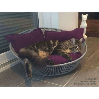 Pet Interiors Unique Cat Basket SIRO Twist