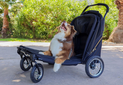 Petique Apollo Elite Pet Stroller incl. Free Rain Cover & Bike Adapter