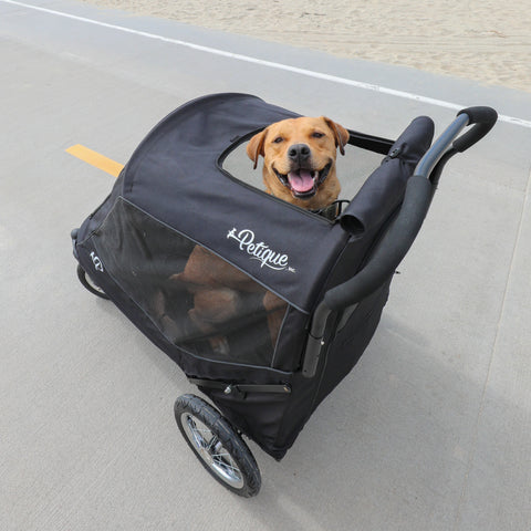 Petique Apollo Elite Pet Stroller incl. Free Rain Cover & Bike Adapter