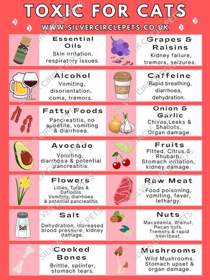 Silver Circle Pets Toxic Foods for Cats Fridge Magnet | Free Delivery
