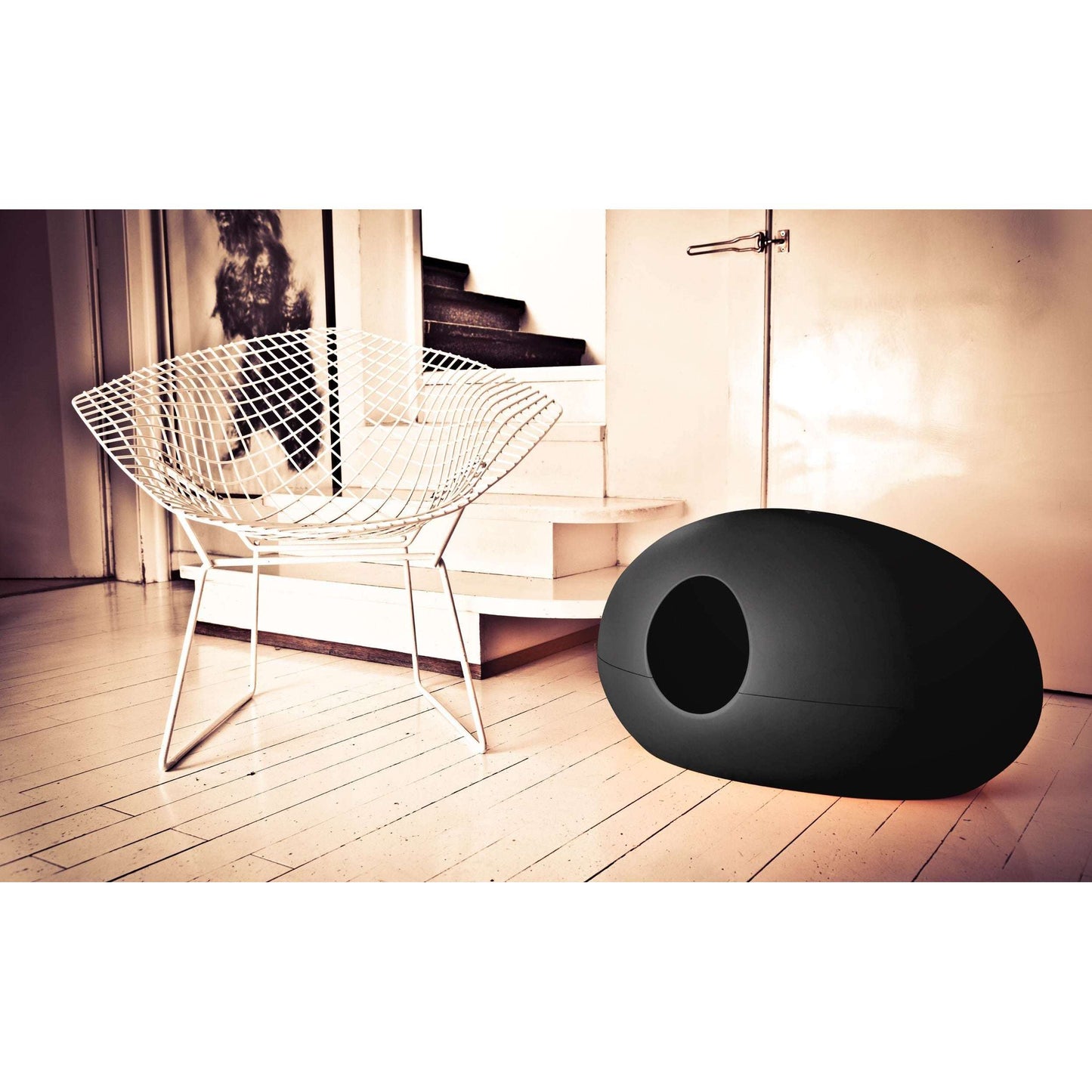 Design Cat Litter Box