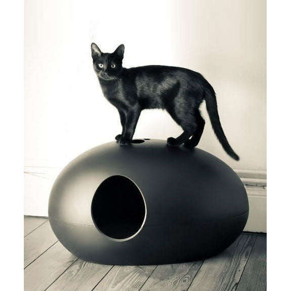 Design Cat Litter Box