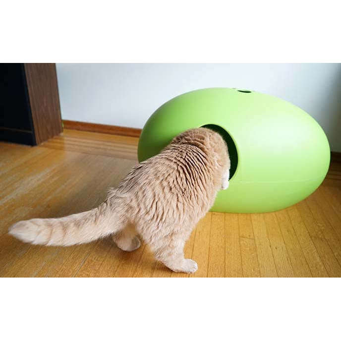 Design Cat Litter Box