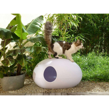 Design Cat Litter Box