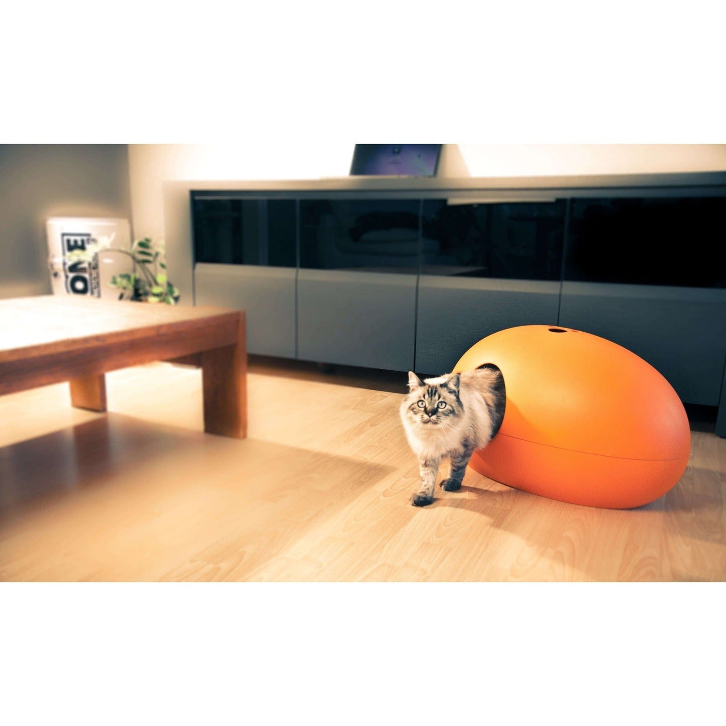 Design Cat Litter Box