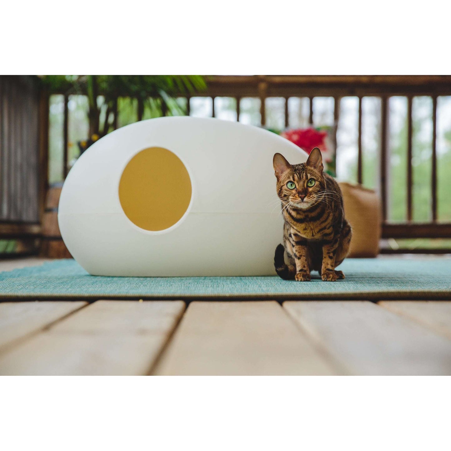 Design Cat Litter Box