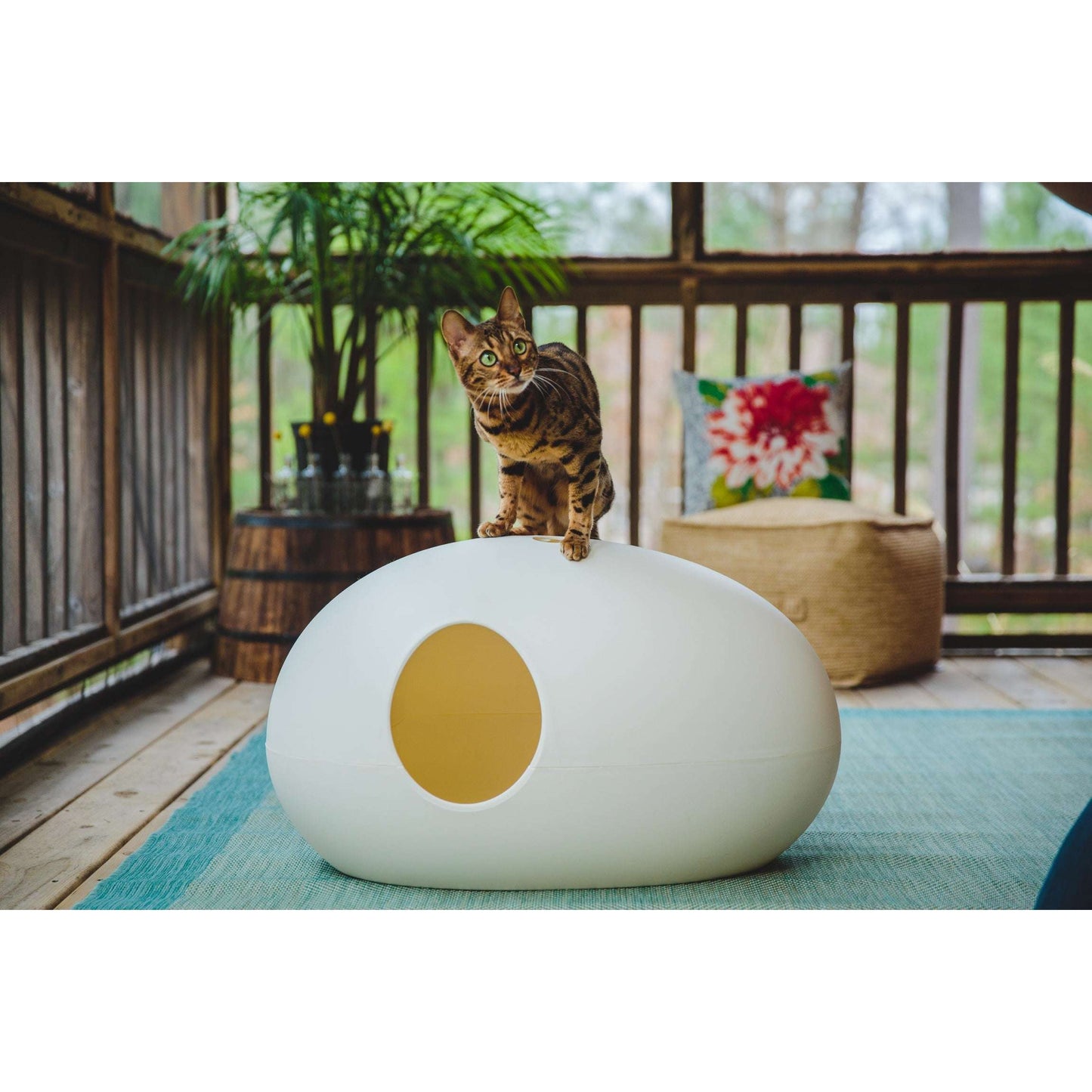 Design Cat Litter Box
