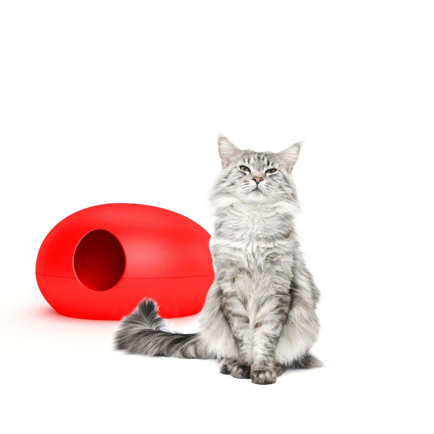 Design Cat Litter Box
