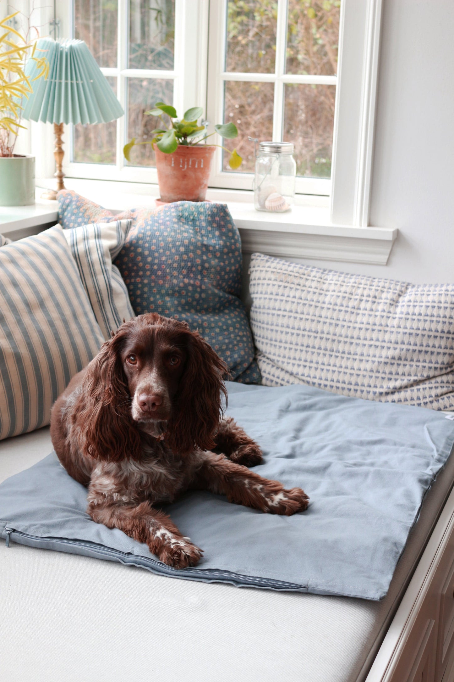 Tadazhi Dog Duvet and Matching Bag