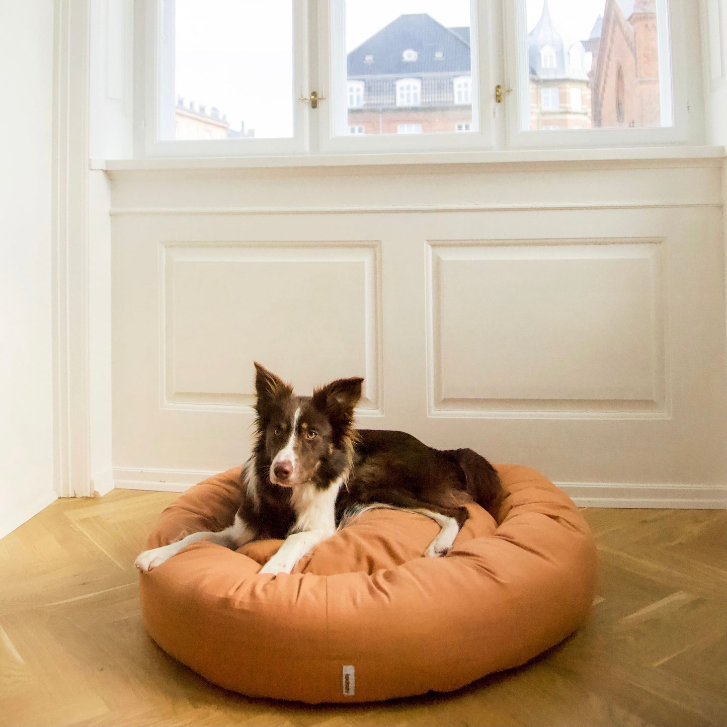 Tadazhi Donut Dog Bed