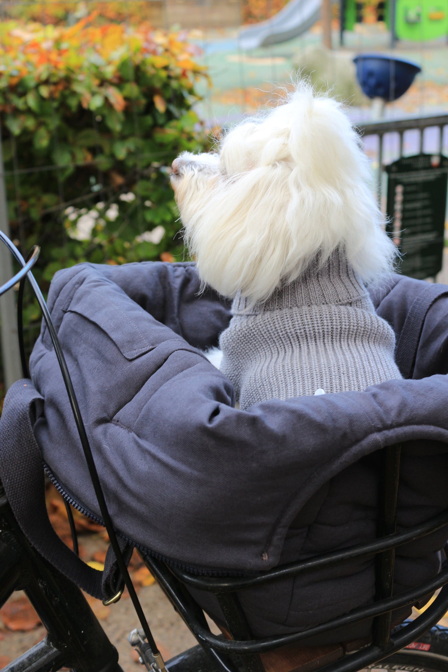 Tadazhi Female Dog Wool Sweater