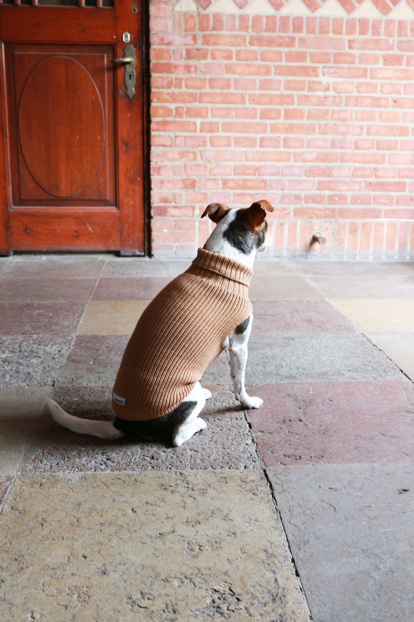 Tadazhi Female Dog Wool Sweater