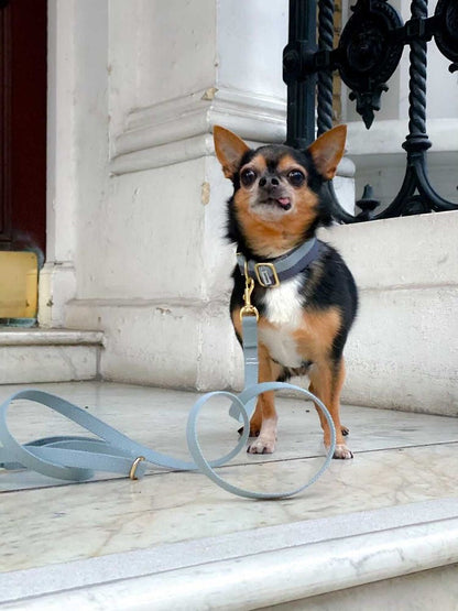 Tadazhi My Dog Lead