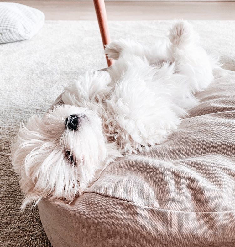 Tadazhi Poespas Dog Bed
