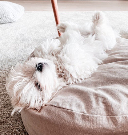 Tadazhi Poespas Dog Bed