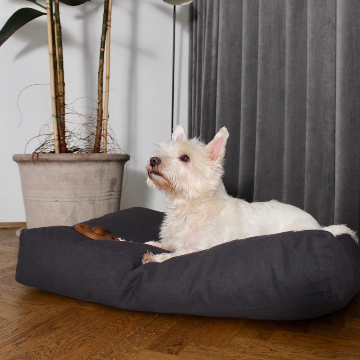 Tadazhi Tobine Dog Bed