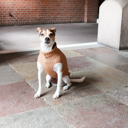 Tadazhi Unisex Wool Dog Sweater