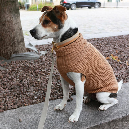 Tadazhi Unisex Wool Dog Sweater