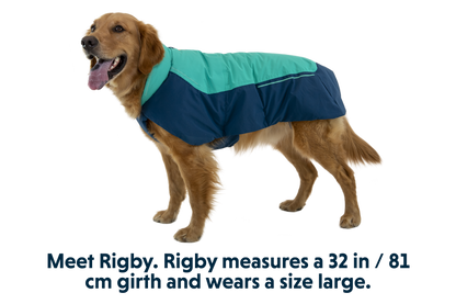 Vert™ Dog Vest