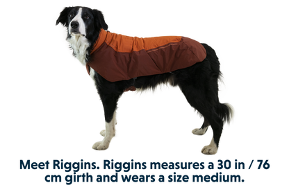 Vert™ Dog Vest