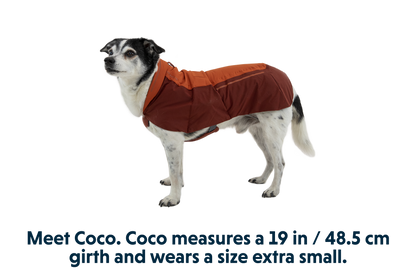 Vert™ Dog Vest