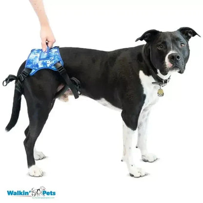 Walkin Wheels® -  Buddy Up Rear Harness