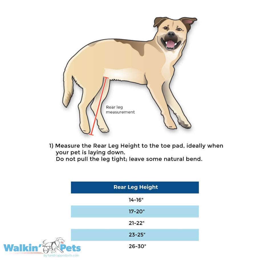 Walkin Wheels® Full Support/4-Wheel LARGE Dog Wheelchair (31 to 82 kg)