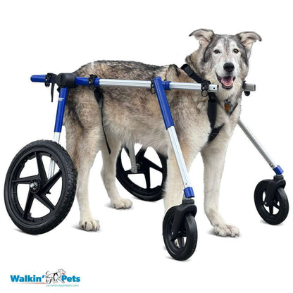 Walkin Wheels® Full Support/4-Wheel LARGE Dog Wheelchair (31 to 82 kg)