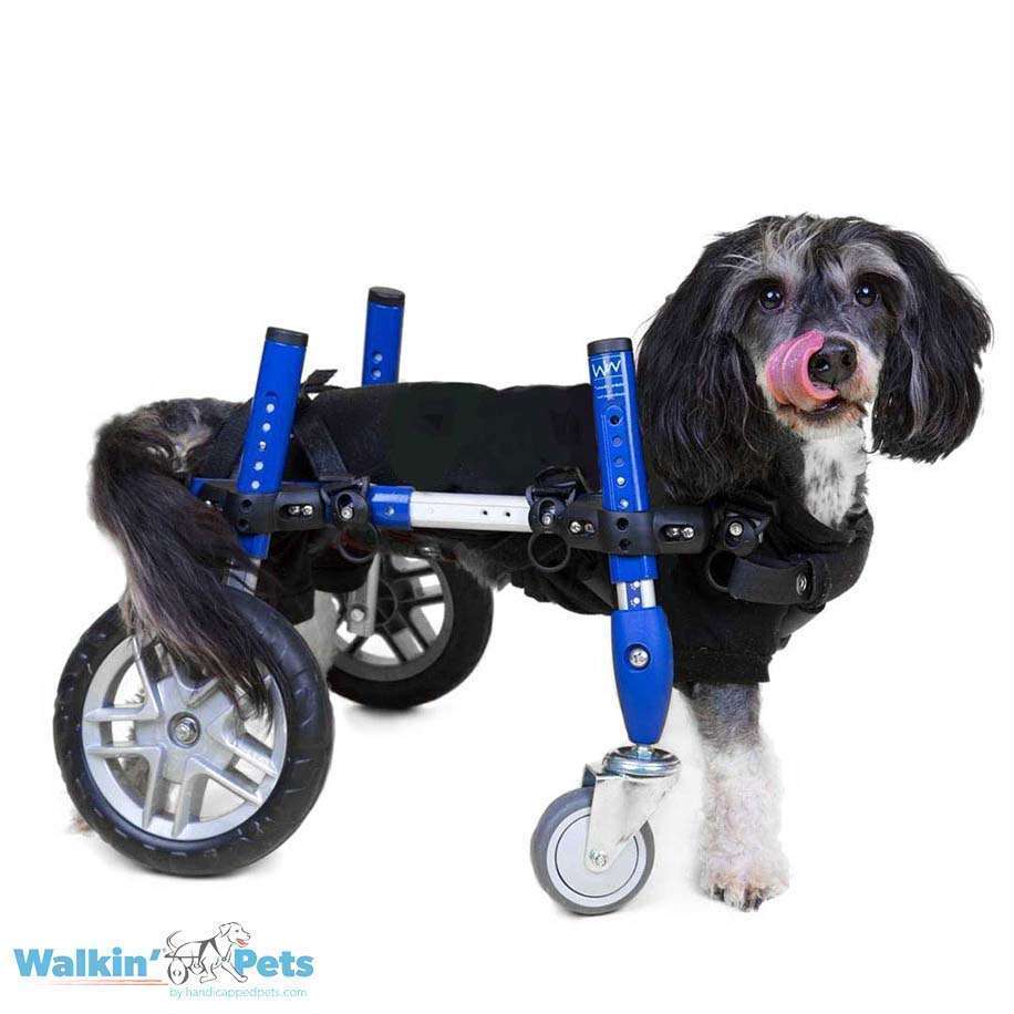 Walkin Wheels® Full Support/4-Wheel SMALL Dog Wheelchair (3.5 - 11kg)