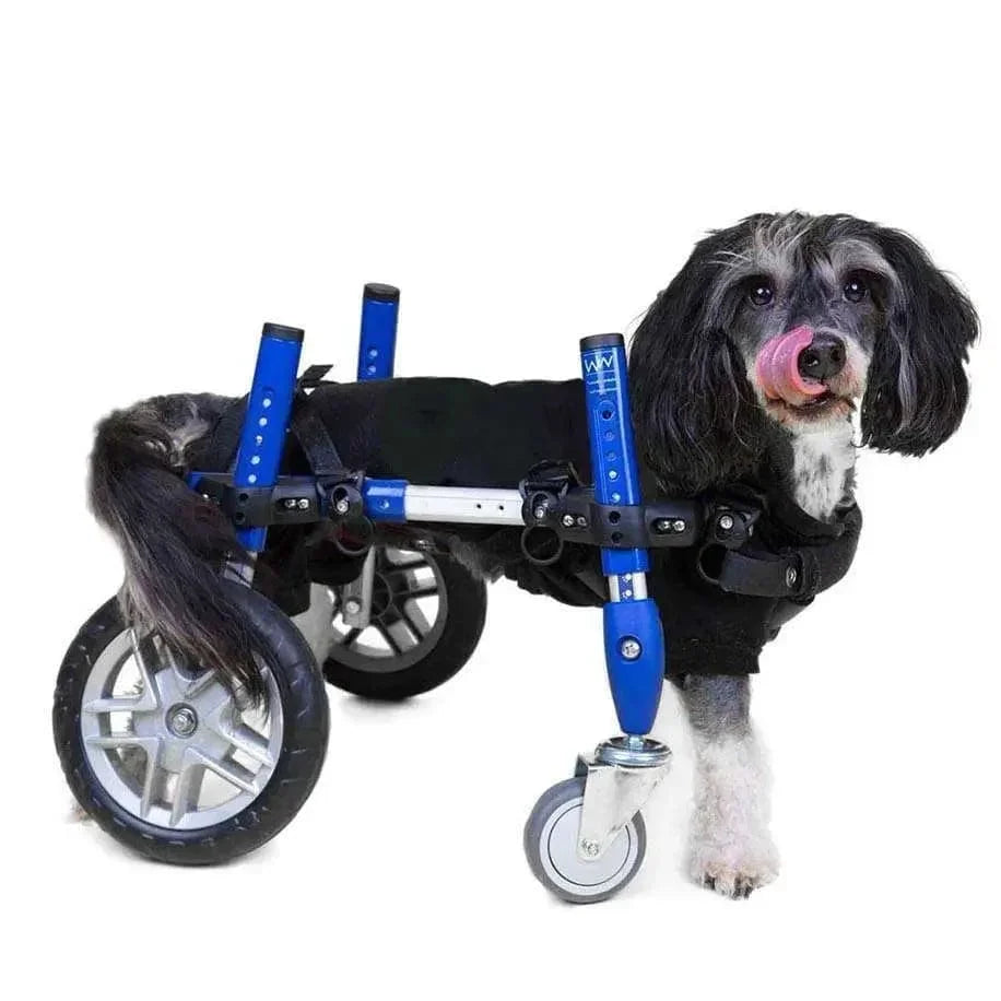 Walkin Wheels® Full Support/4-Wheel SMALL Dog Wheelchair (3.5 - 11kg)