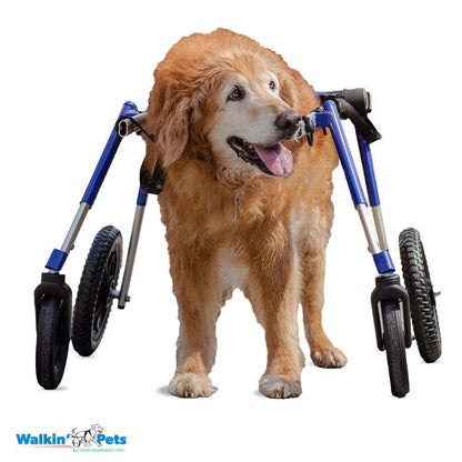 Walkin Wheels® LARGE Dog Front Wheel Attachment
