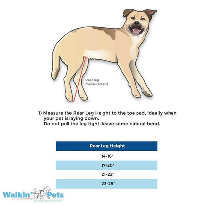 Walkin Wheels® LARGE Rear Dog Wheelchair (31 to 82 kg)