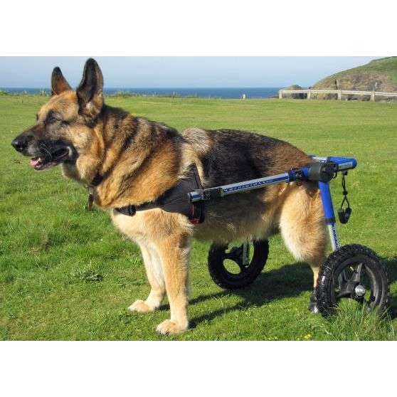 Walkin Wheels® LARGE Rear Dog Wheelchair (31 to 82 kg)