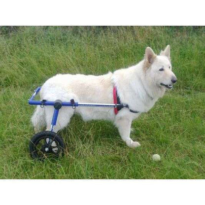 Walkin Wheels® LARGE Rear Dog Wheelchair (31 to 82 kg)