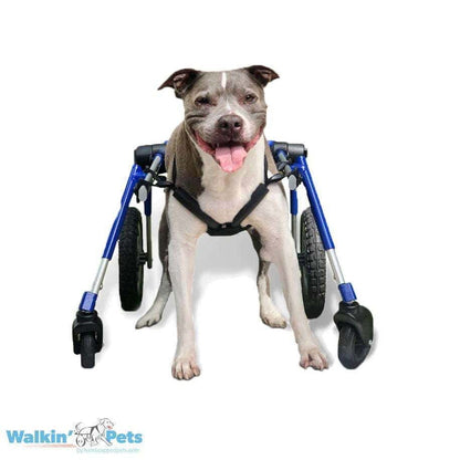 Walkin Wheels® MEDIUM Dog Front Wheel Attachment