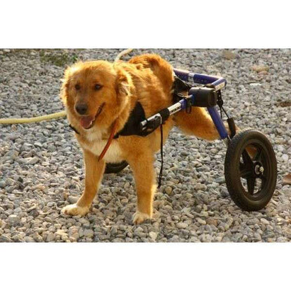 Walkin Wheels® MEDIUM Rear Dog Wheelchair (11 to 30kg)