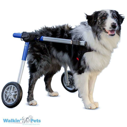 Walkin Wheels® MEDIUM Rear Dog Wheelchair (11 to 30kg)