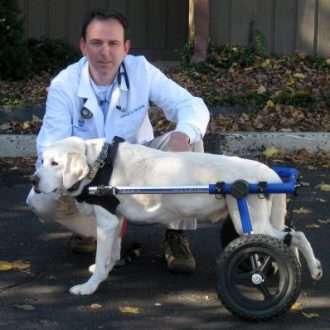 Walkin Wheels® MEDIUM Rear Dog Wheelchair (11 to 30kg)