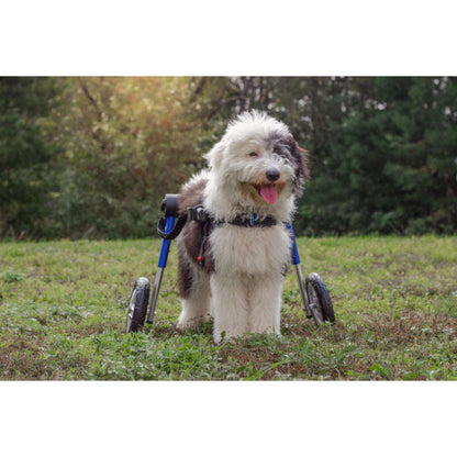Walkin Wheels® MEDIUM Rear Dog Wheelchair (11 to 30kg)