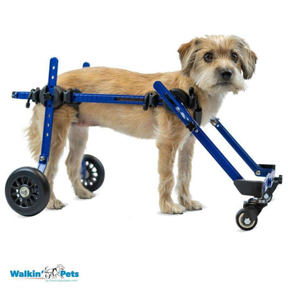 Walkin Wheels® MINI Front Wheel Attachment
